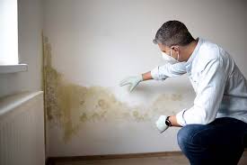 Best Commercial Mold Inspection  in Chester, CA